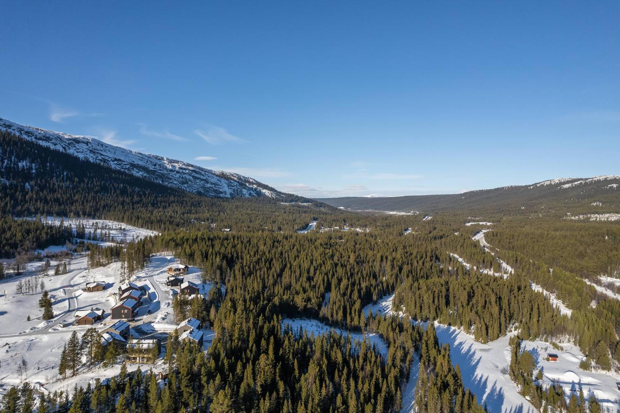 Parkstigens Fjaellby - Kavan Funäsdalen Zewnętrze zdjęcie